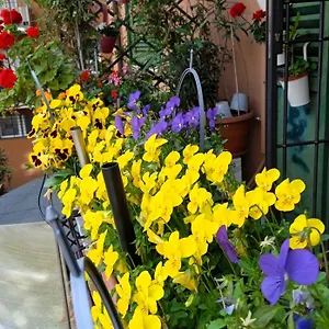 Casa Il Gelsomino Apartament Bolonia