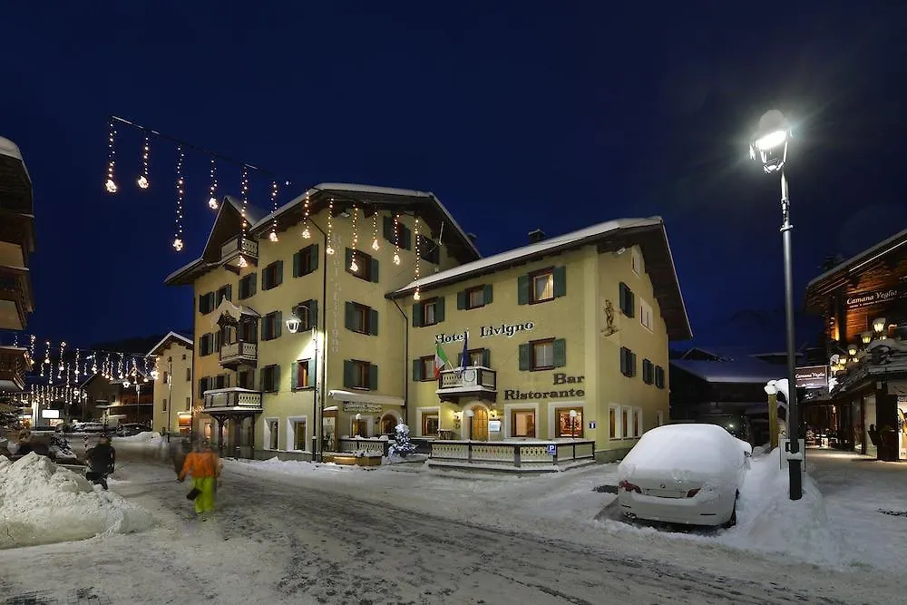 Hotel Livigno 3*,